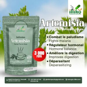 Artemesia