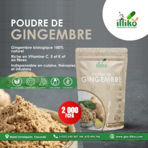 Poudre de Gingembre (100g)