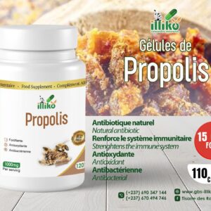 Gélules de Propolis