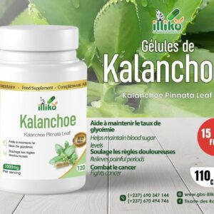 Gélules de kalanchoe