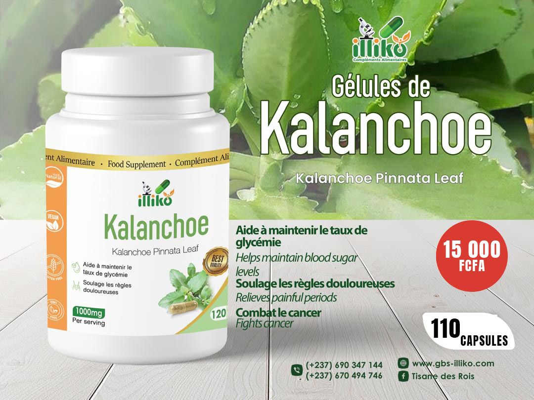 Gélules de kalanchoe