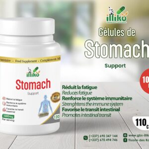 Gélules Stomach Support