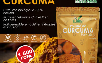 Le Curcuma : Une plante  aux Multiples Vertus