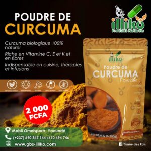 Poudre de Curcuma