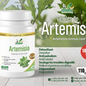 Gélules d’artemisia