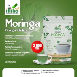 MORINGA (infusettes)